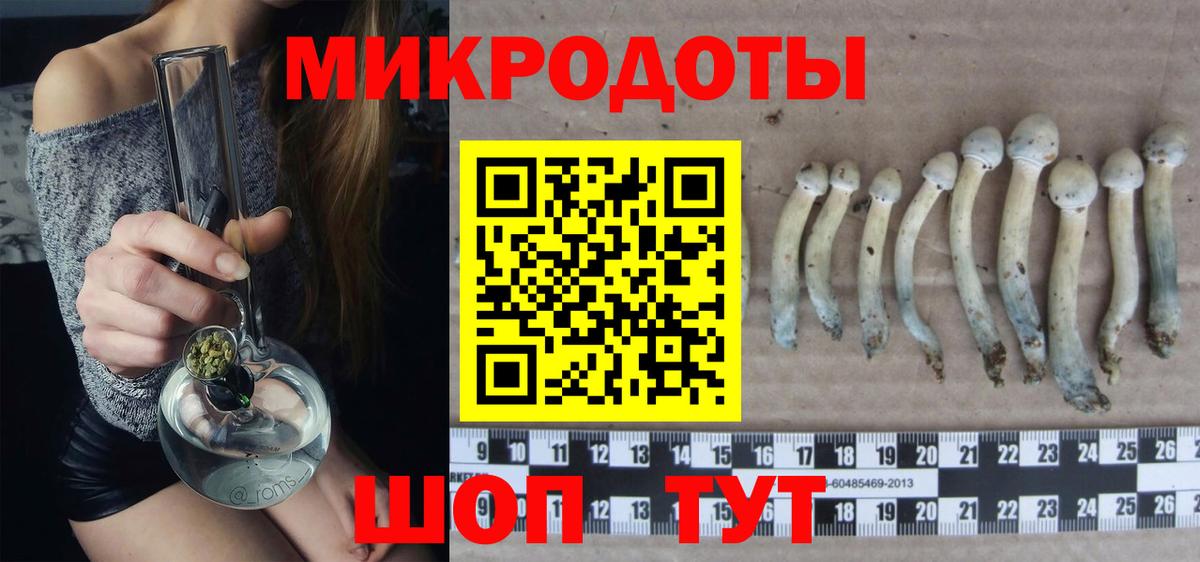 Галлюциногенные грибы GOLDEN TEACHER  Галлюциногенные грибы мицелий  где купить наркоту  Зеленокумск  Вход с VPN 